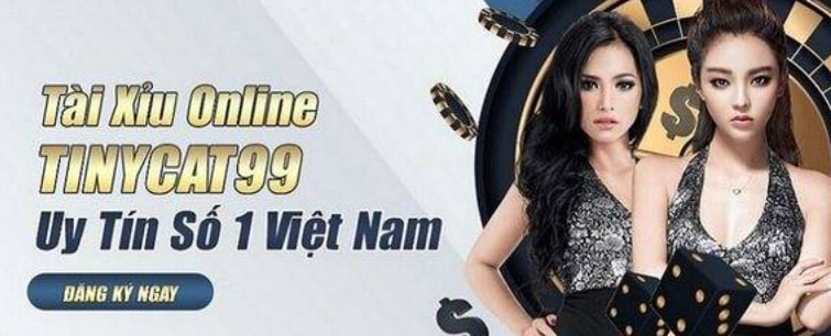 Tinycat99 – Tổng quan về nhà cái Tinycat99