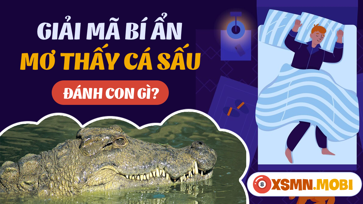 Nằm Mơ Thấy Cá Sấu Đánh Con Gì Chuẩn ?