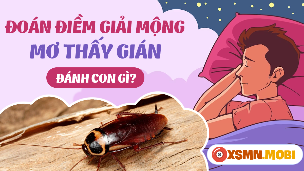 Con Gián Bò Vào Nhà Đánh Số Mấy? Giải Mã Hiện Tượng Và Những Con Số May Mắn