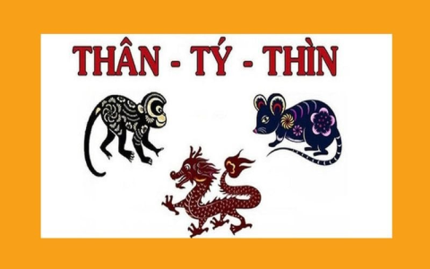 Con gián đánh số mấy？ Những con số nên thử khi gặp gián trong mơ