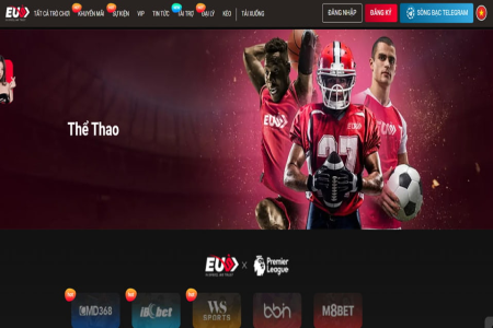 Top 10 trang cá độ bóng đá online uy tín nhất việt nam